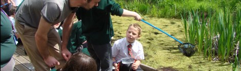 pond dipping