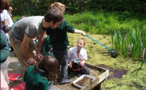 pond dipping
