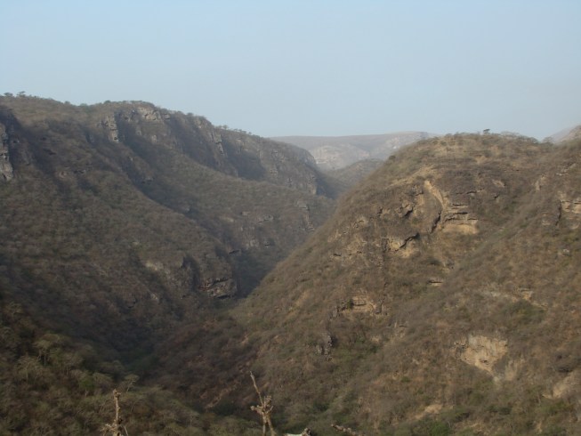 Lawrence Ball Conservation Biologist