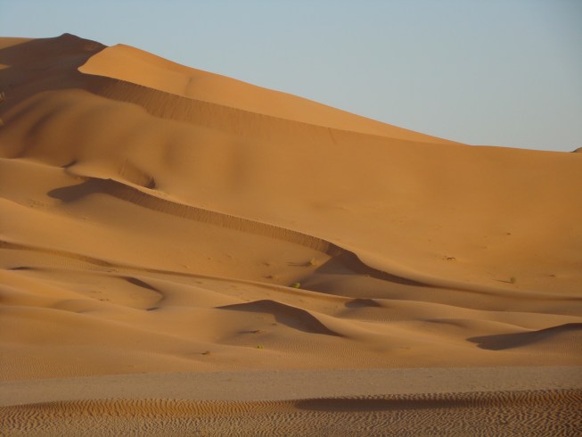 Lawrence Ball Conservation Biologist