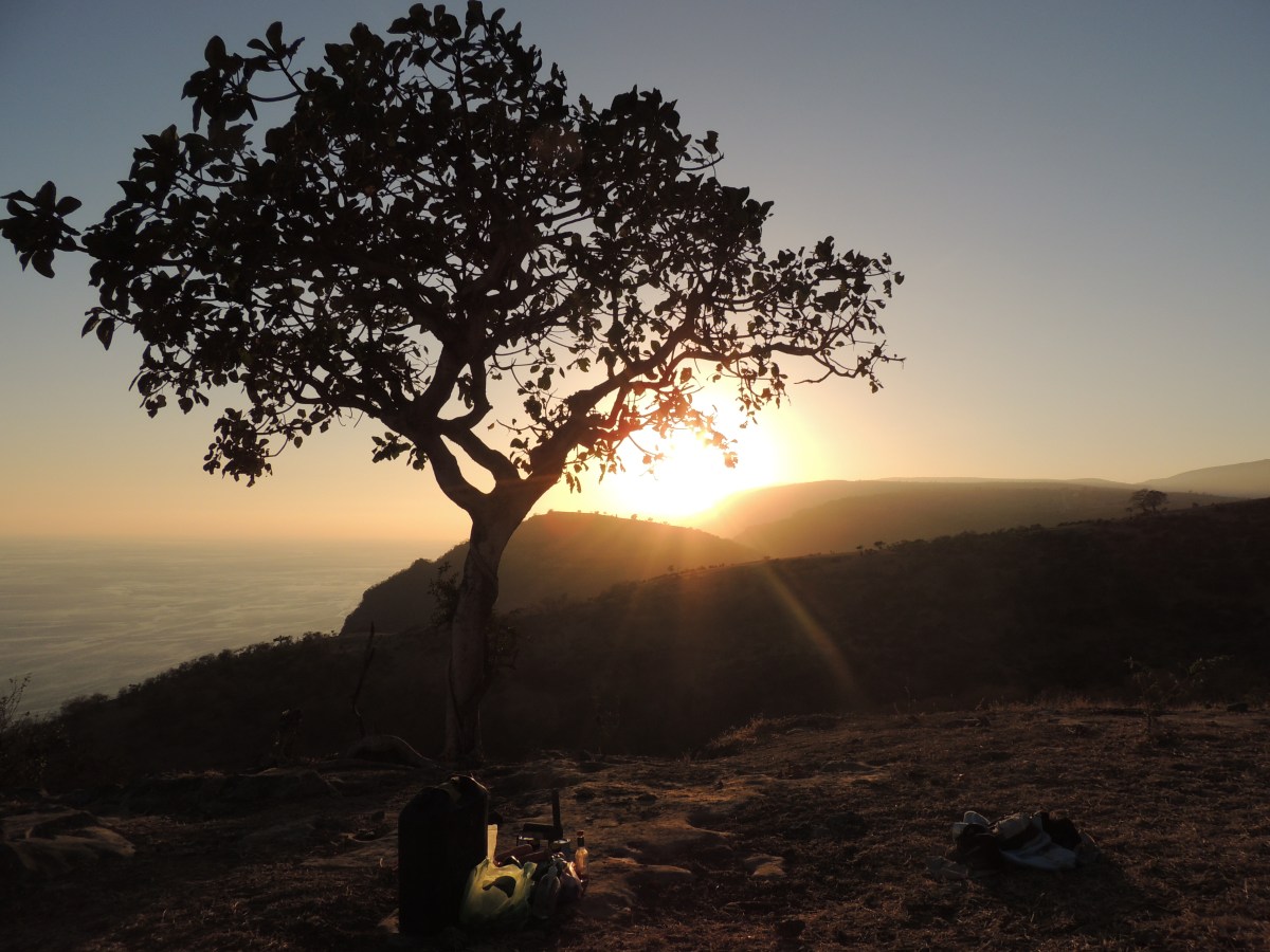 Lawrence Ball Conservation Biologist