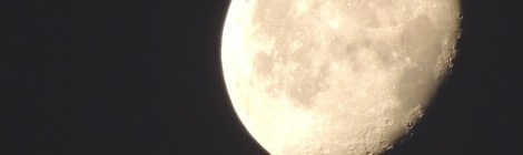 Lawrence Ball Conservation Biologist