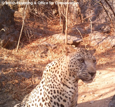 M2E55L188-189R393B313