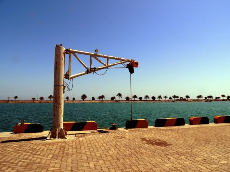 lawrence ball conservation