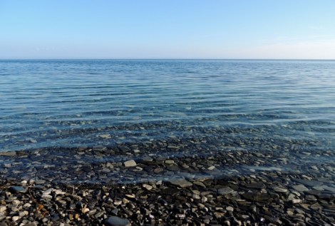 biodiversity lawrence