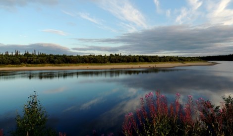 biodiversity loss and human wellbeing