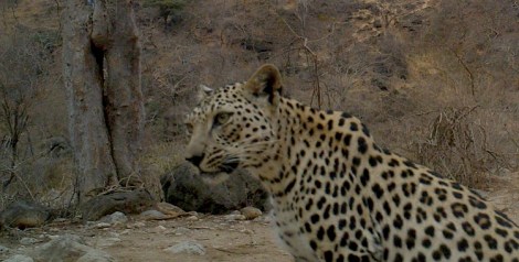 M2E64L207-206R370B332