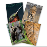 Biosphere Magazine